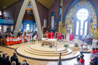  IMG_0008.jpg 