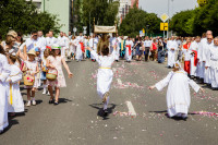  IMG_0071.jpg 
