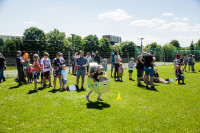  IMG_0080.jpg 