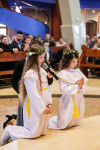 IMG_1133.jpg 