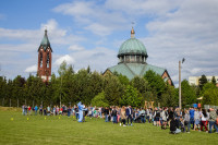  IMG_0233.jpg 