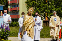 IMG_0209.jpg 