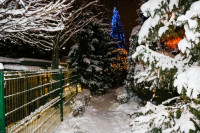  IMG_9165.jpg 