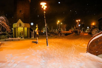  IMG_9204.jpg 