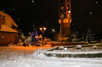  IMG_9229.jpg 