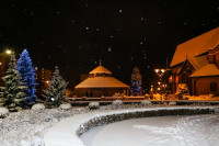  IMG_9227.jpg 