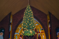  IMG_9236.jpg 