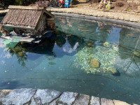  IMG_0007.jpg 