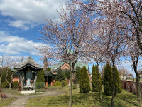  IMG_0021.jpg 
