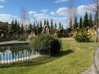 IMG_0029.jpg 