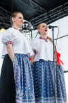  IMG_0141.jpg 