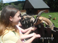  SAM_0104.JPG 