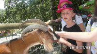 SAM_0237.JPG 