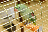  IMG_1030.jpg 