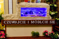  IMG_0723.jpg 