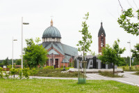  IMG_0081.jpg 