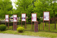  IMG_0097.jpg 