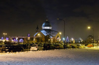  IMG_6946.jpg 