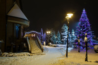  IMG_6567.jpg 