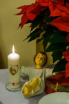  IMG_4253.jpg 