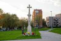  IMG_2657.jpg 