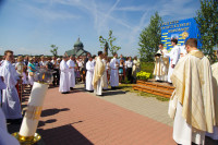  IMG_2608.jpg 