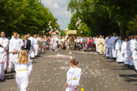  IMG_2692.jpg 
