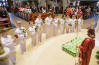 IMG_7526.jpg 