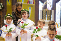  IMG_7546.jpg 