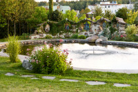  IMG_0165.jpg 