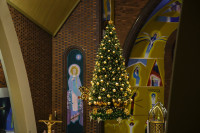  IMG_1860.jpg 